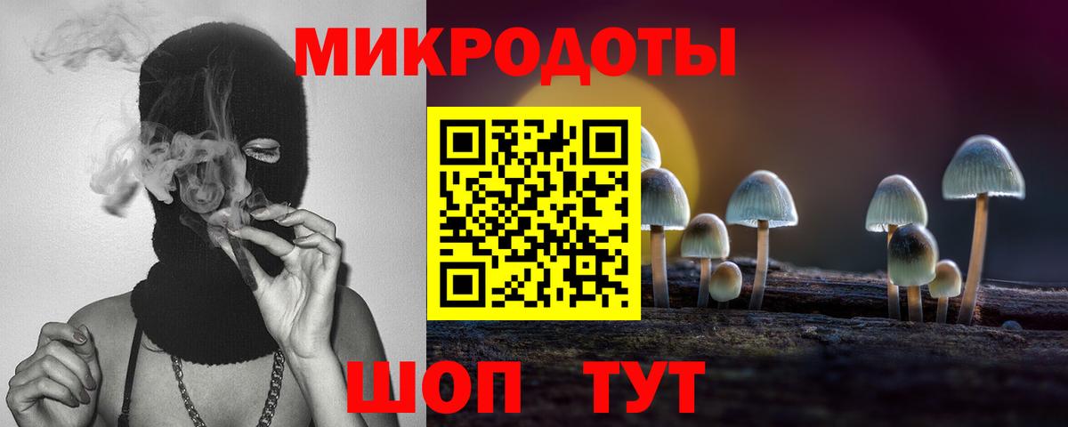 Выкса  Галлюциногенные грибы Psilocybe  Псилоцибиновые грибы Psilocybe  Вход с VPN 